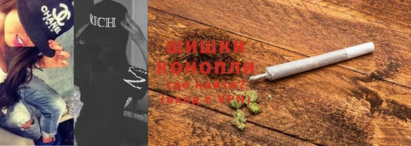 прущие грибы Арсеньев