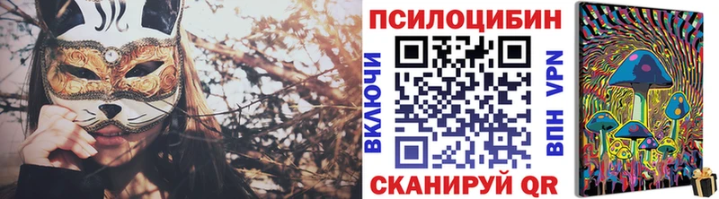 Купить закладки  Балашов  Псилоцибиновые грибы GOLDEN TEACHER 
