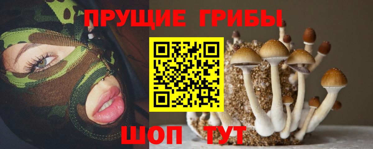 Псилоцибиновые грибы Psilocybe  Вход с VPN  Балашов 