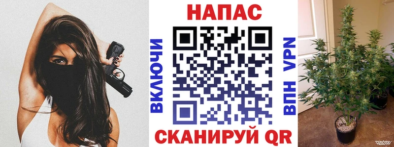 Купить где  Балашов  МАРИХУАНА Ganja 