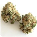 Шишки "White Widow"  (Белая вдова)  Гидропоника -  Бошка VHQ в Балашове 